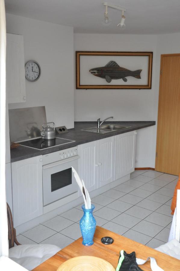 Frickingen Ferienwohnung Fischer מראה חיצוני תמונה